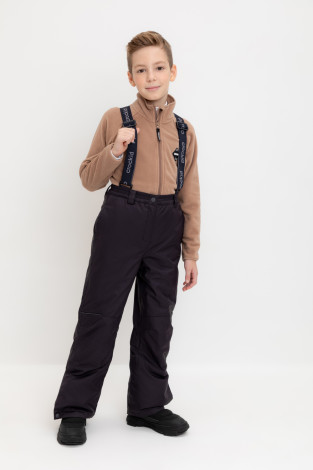 Брюки утепленные, артикул: ВК 40008/24/1 ГР, цвет: темно-серый