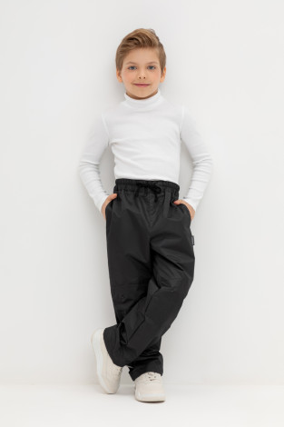 Брюки утепленные, артикул: ВК 46015/24/1 УЗГ, цвет: черный